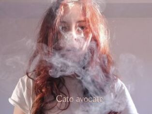 Cato_avocato