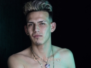 cattleyanrey Anal Sexe