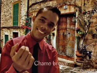 Chamo_brown