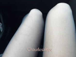 Chaudesalope