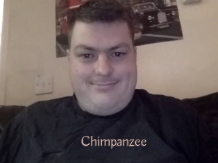 Chimpanzee