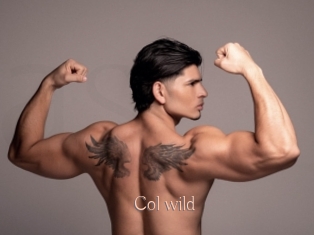 col_wild Anal Sexe