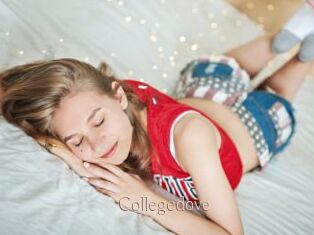 Collegedove