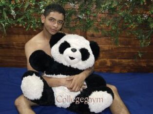 Collegegaym