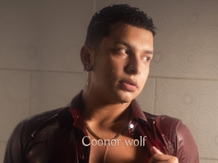 Coonor_wolf