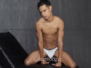 Crisantotiger