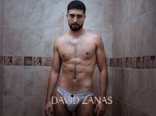 DAVID_ZANAS