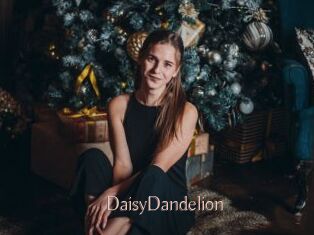 DaisyDandelion