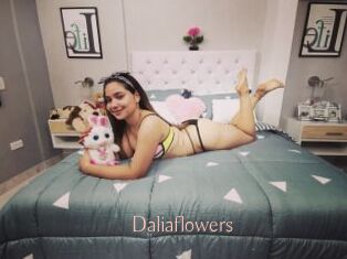 Daliaflowers