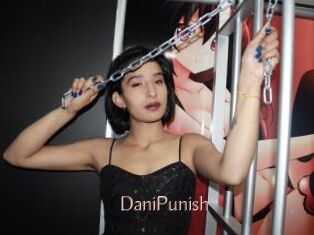 DaniPunish