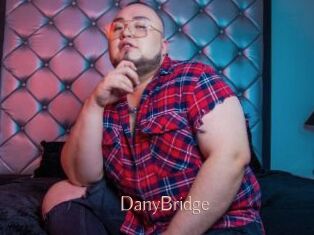 DanyBridge