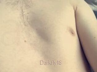 Darkfly18