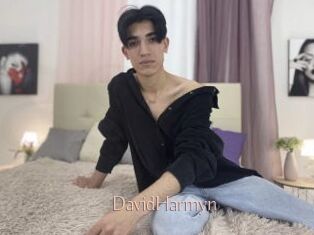 DavidHarmyn