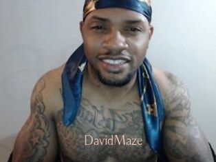 David_Maze