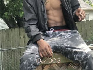 Day1DOG