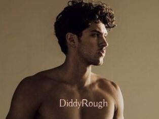 DiddyRough