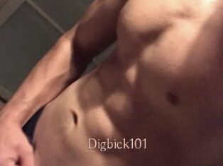 Digbick101