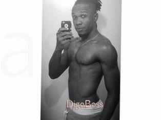 DigoBoss