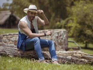 DomiinicSantos