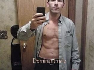 Dominantmale