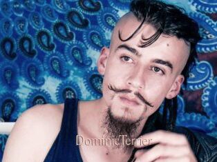 DominicTerrier