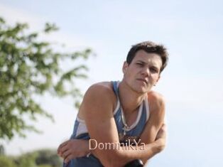 DominikYa