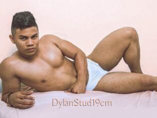 DylanStud19cm