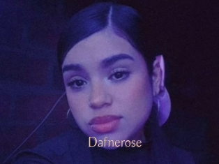 Dafnerose