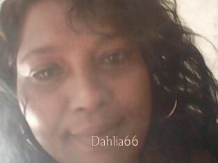 Dahlia66