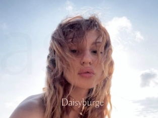 Daisyburge