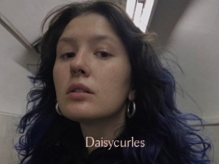 Daisycurles