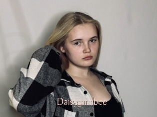 Daisygambee