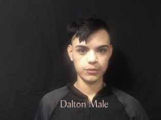 Dalton_Male