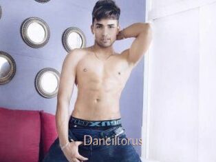 Daneil_torus