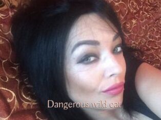 Dangerous_wild_cat