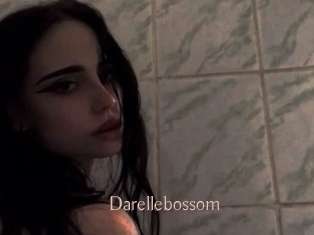 Darellebossom