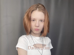 Darlinegrass