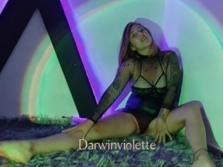 Darwinviolette