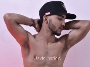 david_harlow Anal Sexe