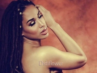 Didiflower