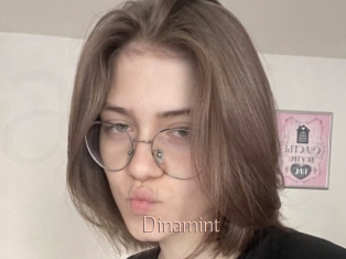 Dinamint