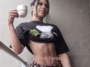 Domin_hamss