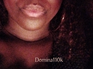 Domina110k