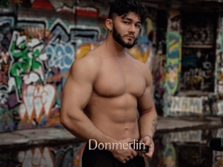 Donmerlin