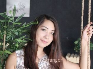 Drowranger