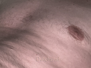 Dutchstud
