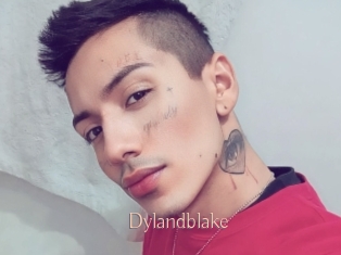 Dylandblake