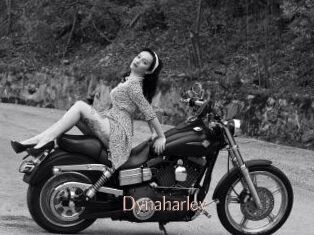 Dynaharley