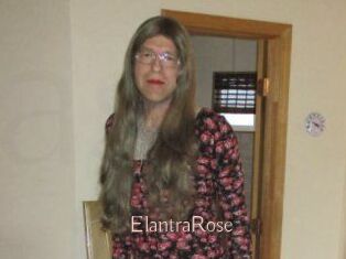 Elantra_Rose