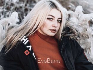 EvisBurns
